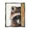 Stupell Industries Raccoon with Wood Fence Illustration Framed Floater Canvas Wall Art